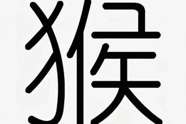 什么字适合给晚上9点出生的属猴男孩起名字姓名