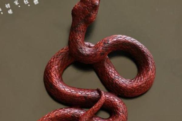 紫薇斗数蛇