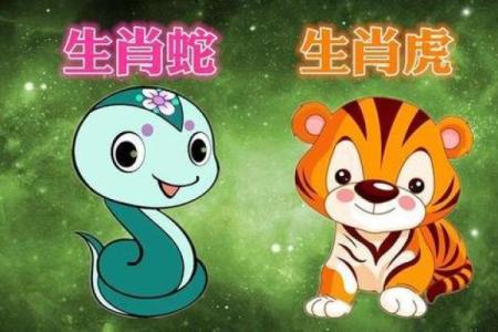属蛇的人和哪些生肖最为配对