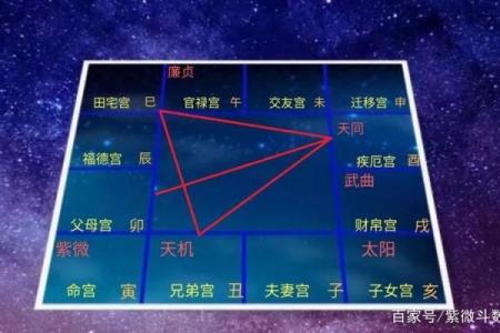 紫薇斗数看胖瘦