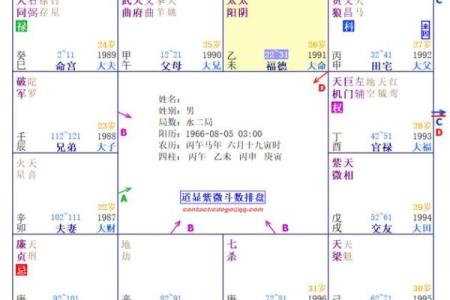紫微斗数之：看命程序