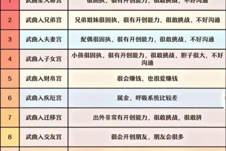 紫薇斗数下载软件