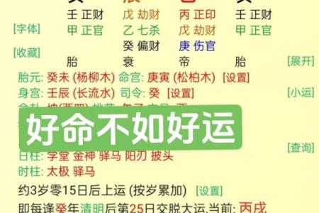 八字有辰