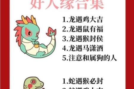 龙和老鼠属相合不合 龙和老鼠配对如何