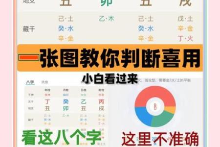 八字找喜用神视频讲座
