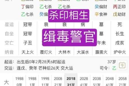 八字七杀查询表