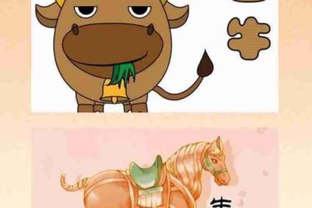 什么血型生肖最有前途