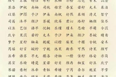 2019年3月28号申时出生的男孩如何起名姓名