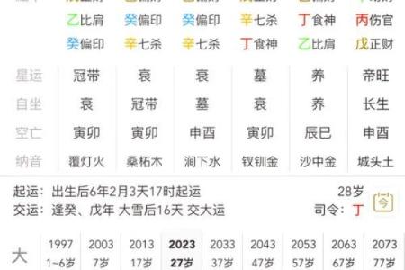 生辰八字排盘,生辰八字排盘算命详解