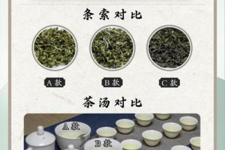 风水绿茶泡多久最佳多长时间最佳