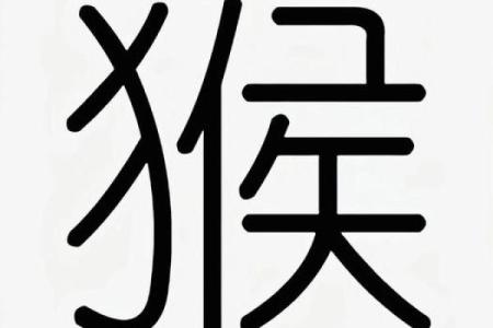 什么字适合给晚上9点出生的属猴男孩起名字姓名