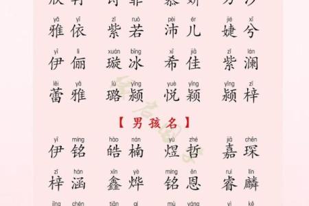 2019年5月9号卯时出生的男孩如何起名姓名