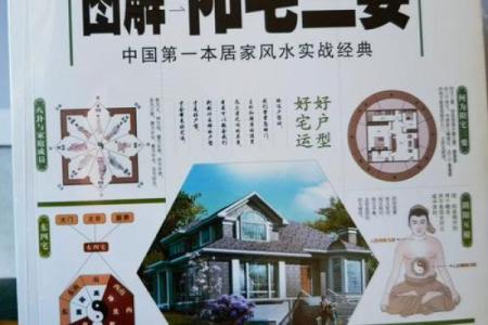 家居风水：电视机旁该如何摆放，有什么风水讲究？