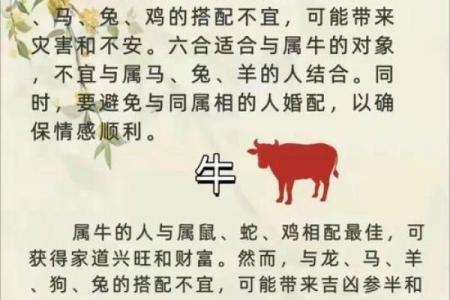 生肖算命婚姻，十二生肖什么属相和龙最配