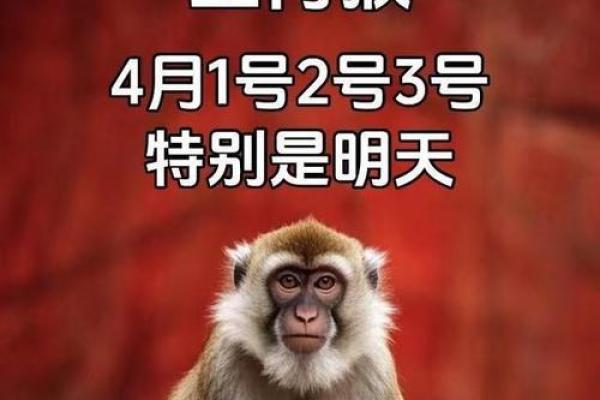 属猴的男孩出生吉日 属猴是哪一年出生的