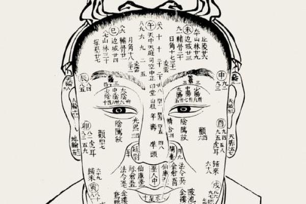 日本面相学:下巴算命 日本面相学:下巴算命