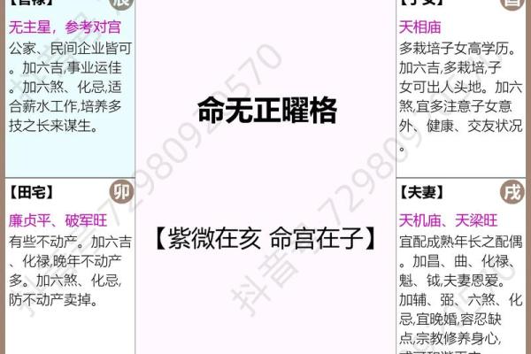 紫薇斗数命宫对应