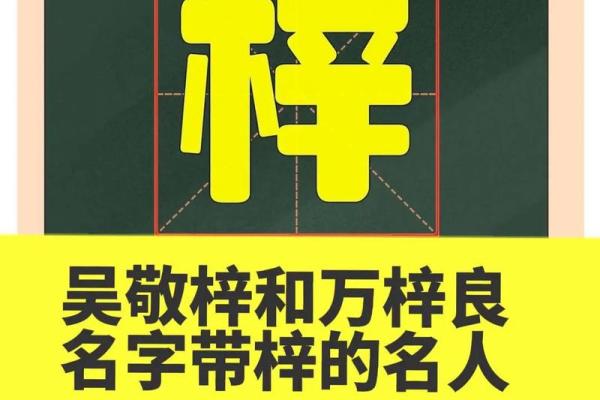 姓庞的名人-姓名学-华易算命网姓名