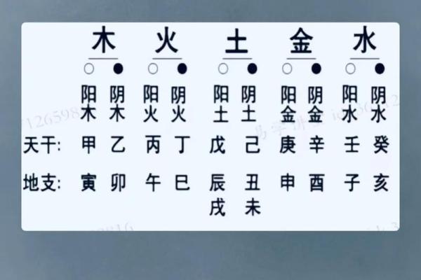 算命里缺什么五行属性