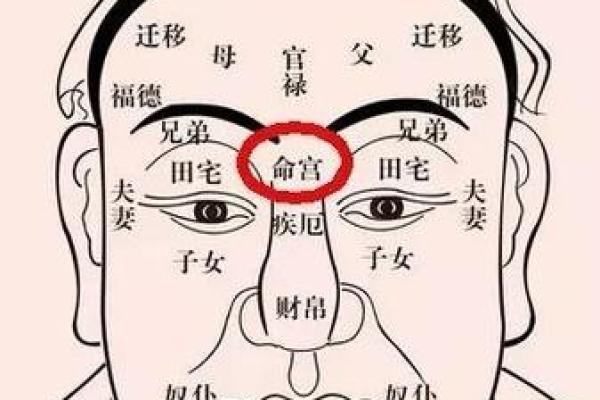 八字婚姻宫坐十二宫位置