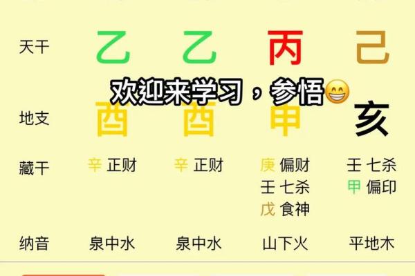 八字算命排盘软件咋开发
