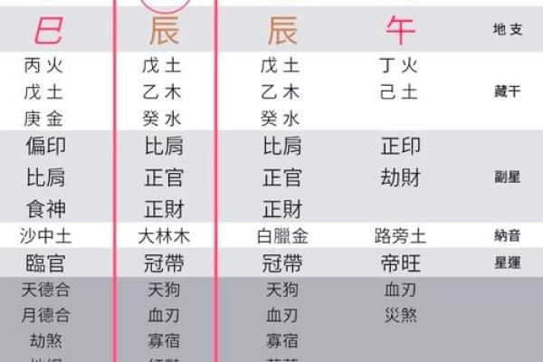 八字命盘养是什么意思