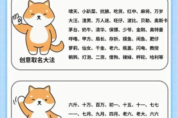 上午11点出生的属狗男孩怎么取名，用什么字好姓名