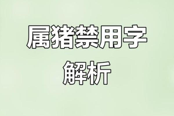 4月份出生的属猪男孩该怎么起名姓名