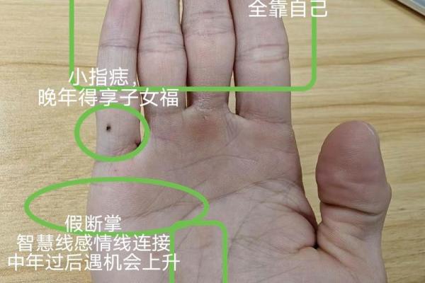 五角星手纹算命图解 五角星手纹手相