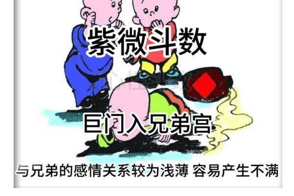 紫薇斗数+巨门星