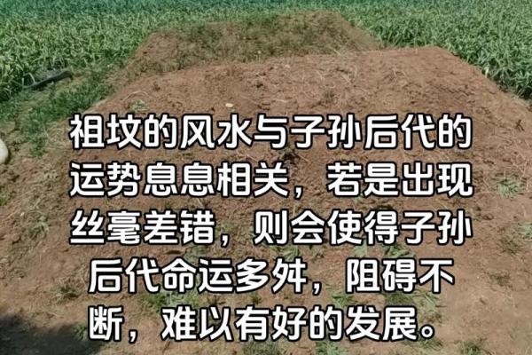 祖坟风水如何看旺衰
