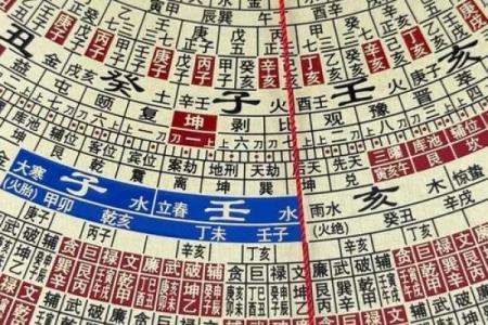 丙山壬向兼午子风水