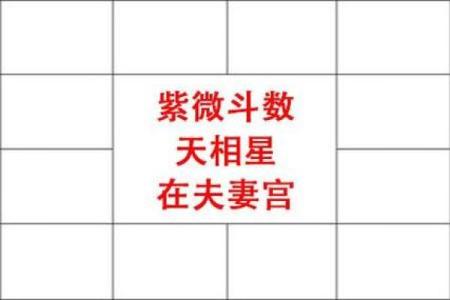 紫微斗数之夫妻宫与诸星，太阴星在夫妻宫是什么意思？