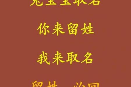 半夜出生属兔的男孩应该怎么样去名字呢姓名