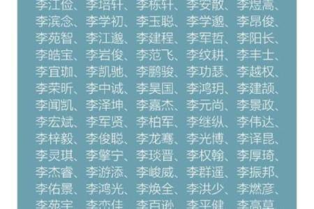2019年6月29号子时出生的男孩起名时要注意什么姓名