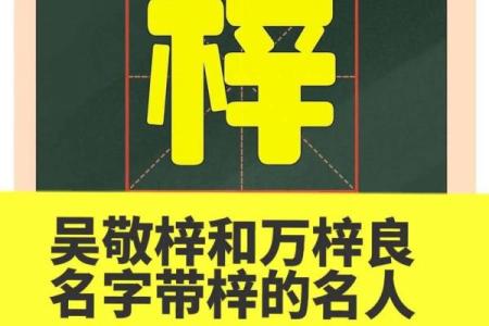 姓庞的名人-姓名学-华易算命网姓名