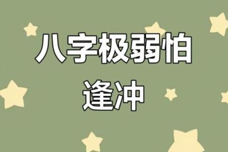 八字弱极