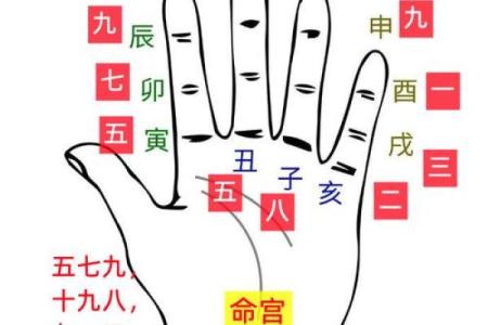 八字婚姻宫坐十二宫位置