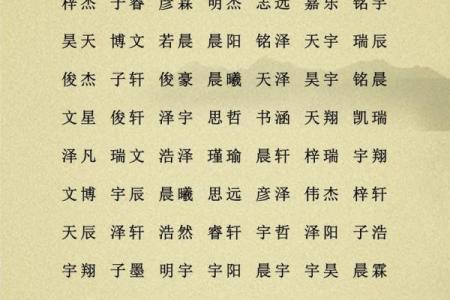 2019年5月25号子时出生的男孩要怎么起名字姓名