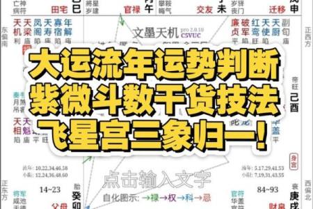 紫薇斗数流年看外出