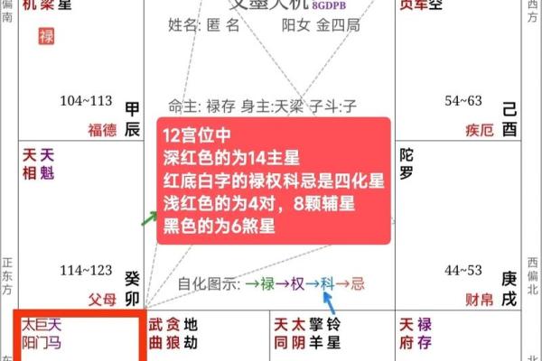 紫薇斗数盘是什么