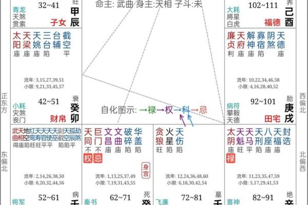 紫薇斗数盘是什么
