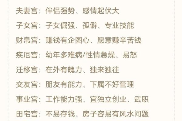 紫薇斗数工作