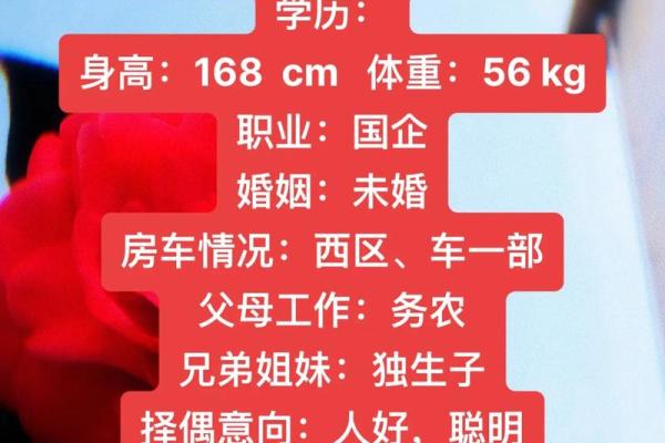 下午出生的属狗男孩取什么名，宜用什么字姓名