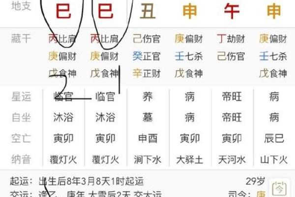 查八字起名