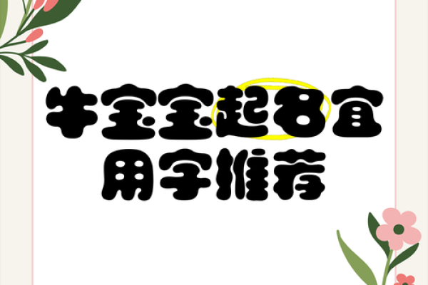 晚上12点出生的属牛男孩适合用什么字取名姓名