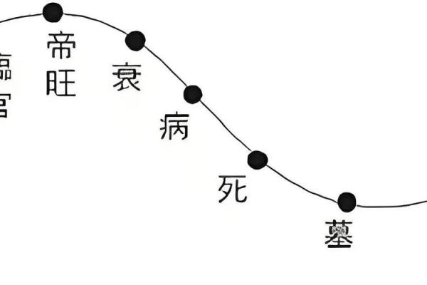 「八字起伏图」详解：八字算命必备，自己也能看懂的神秘图解