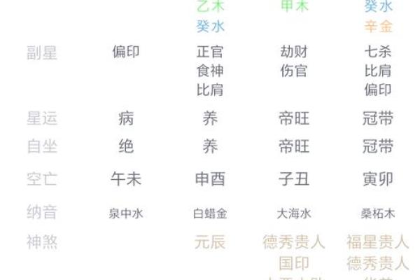 八字命宫辛亥是什么意思