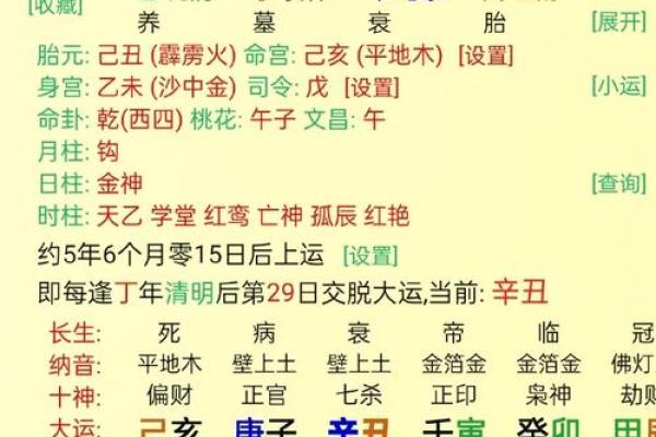 八字命宫辛亥是什么意思
