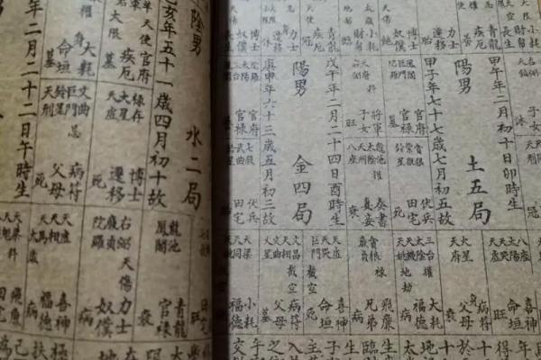 预测包括紫薇斗数